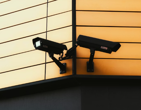 Sekimo blakės: kaip jos veikia, kur naudojamos ir kaip apsisaugoti